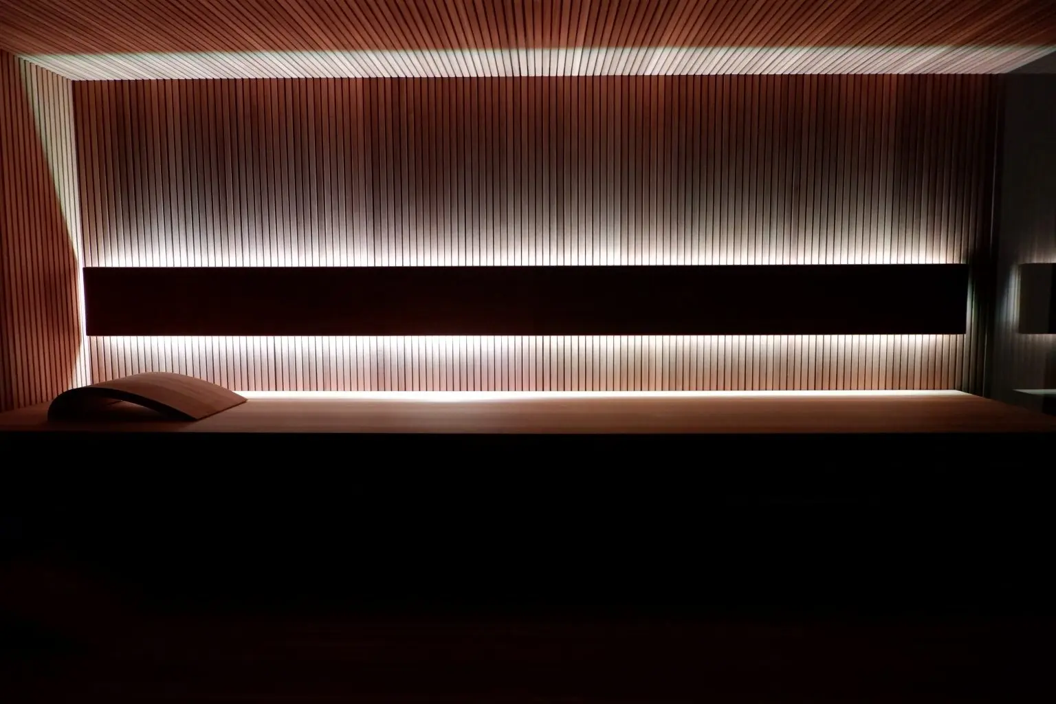 Nowoczesna sauna z liniowym podświetleniem – Darlas